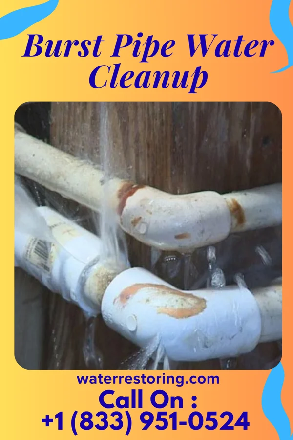 Burst Pipe Water Cleanup in Beacon, NY