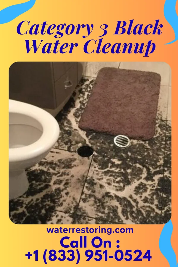 Category 3 Black Water Cleanup in Beacon, NY