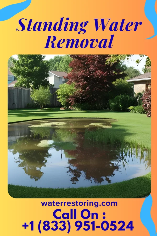 Standing Water Removal in Beacon, NY